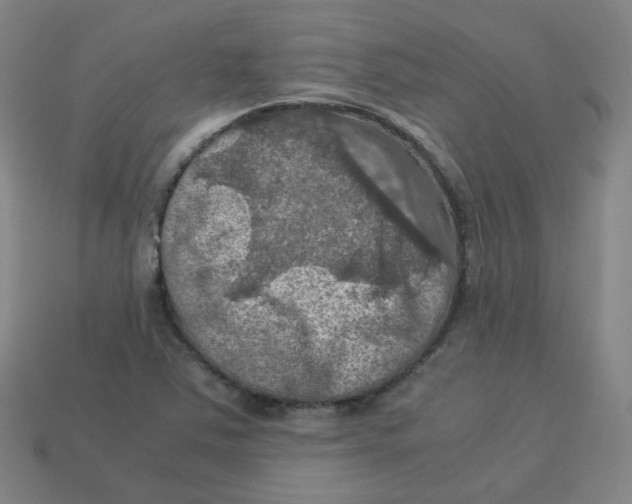 X0000113311363200910131059