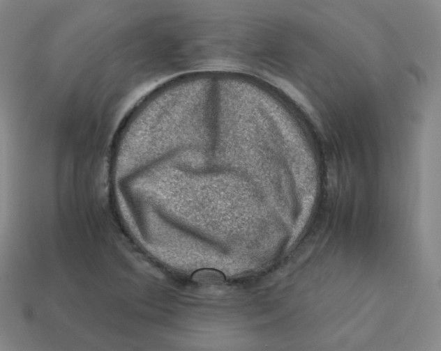 X0000113311364200910131059