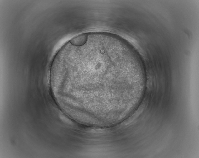 X0000113311366200910131059