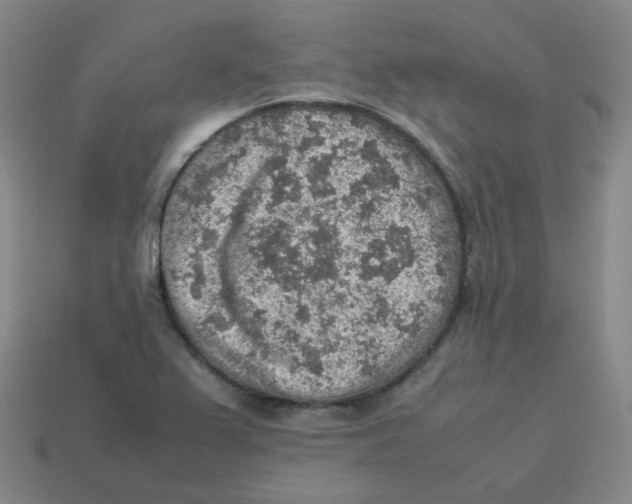 X0000113311367200910131059