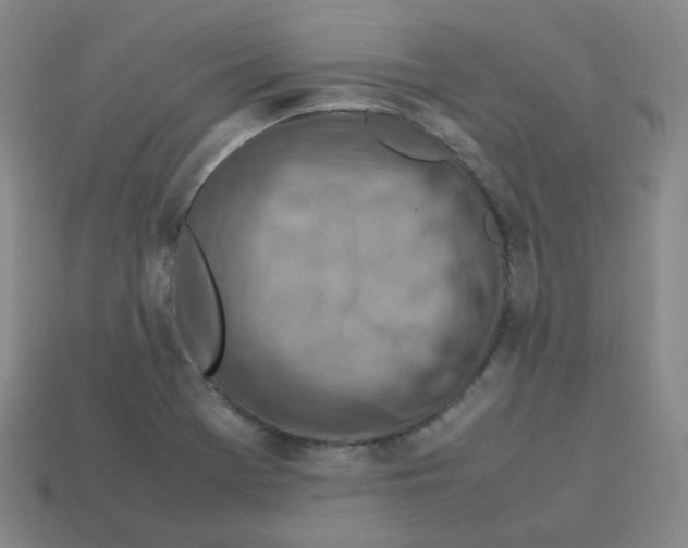 X0000113311369200910131059