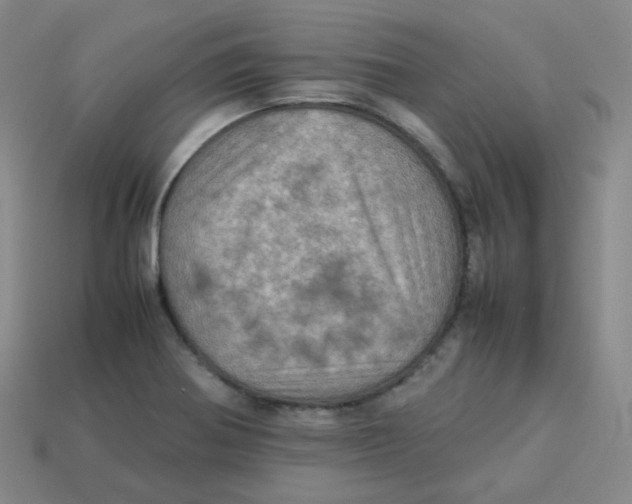 X0000113311370200910131059