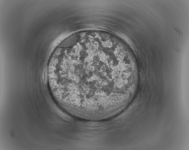 X0000113311371200910131059