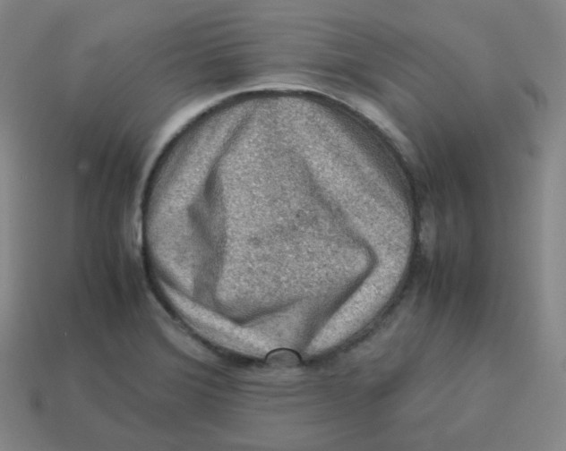 X0000113311372200910131059