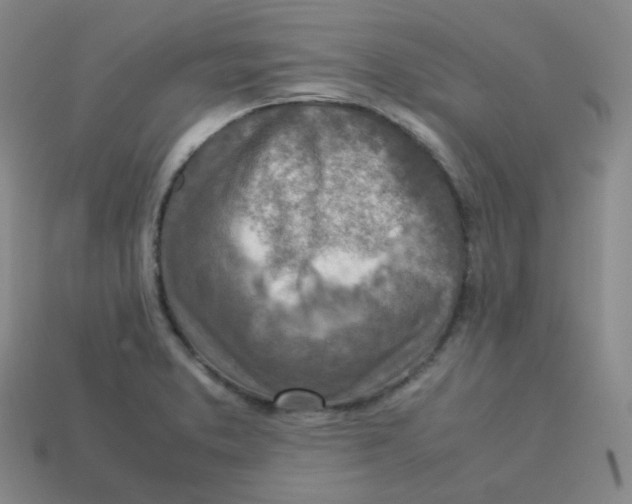 X0000113311373200910131059