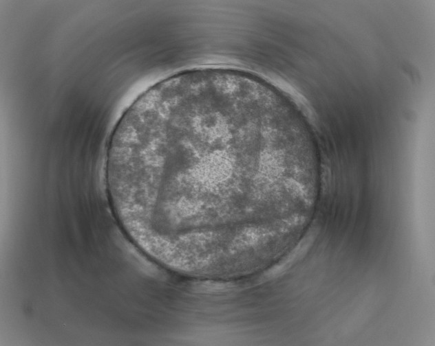 X0000113311374200910131059