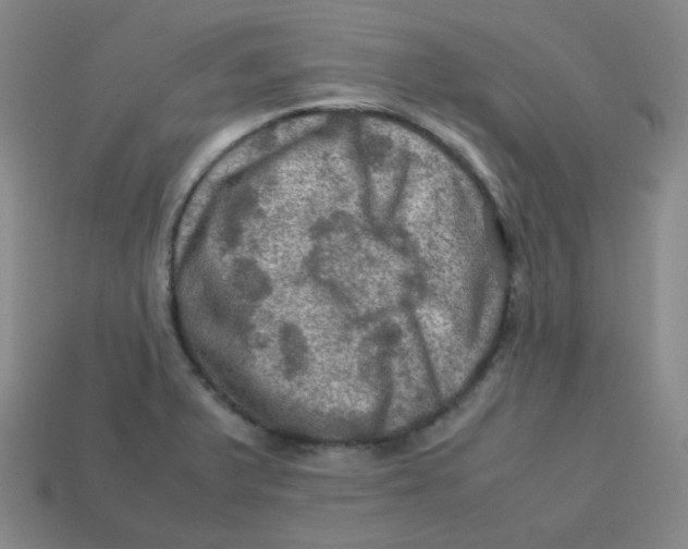 X0000113311375200910131059