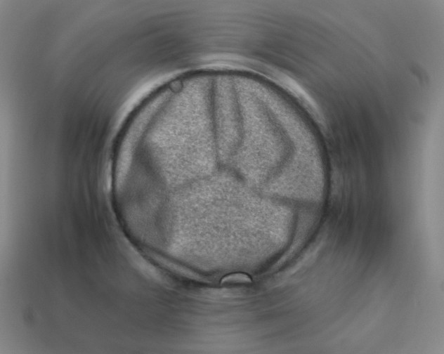 X0000113311376200910131059