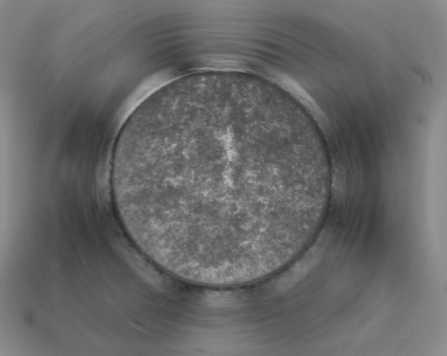 X0000113311378200910131059