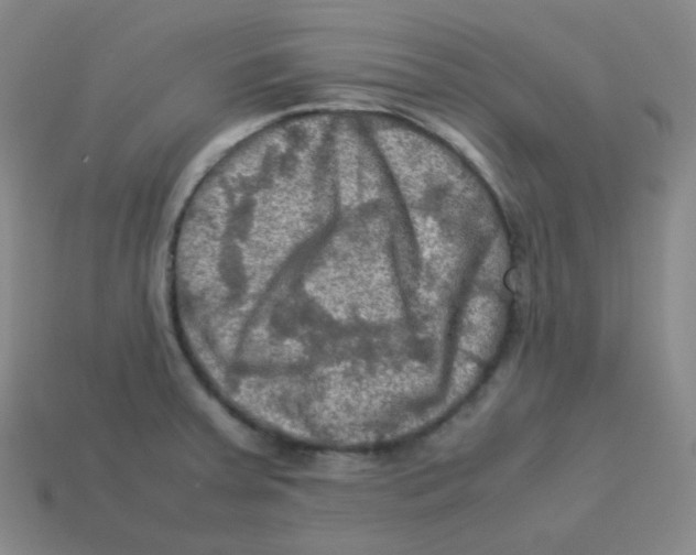 X0000113311379200910131059