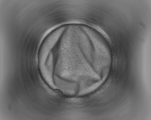 X0000113311380200910131059