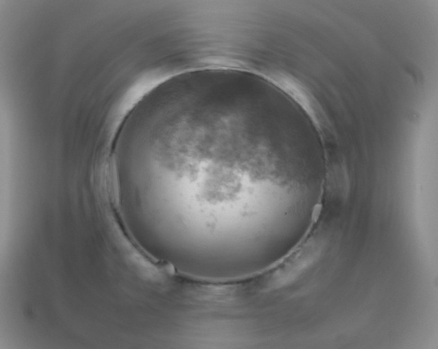 X0000113311381200910131059