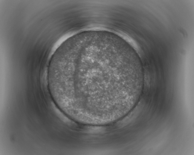 X0000113311382200910131059