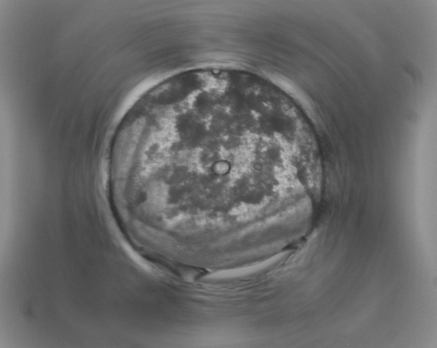 X0000113311383200910131059