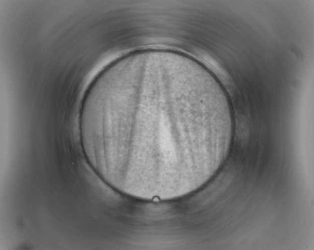 X0000113311384200910131059