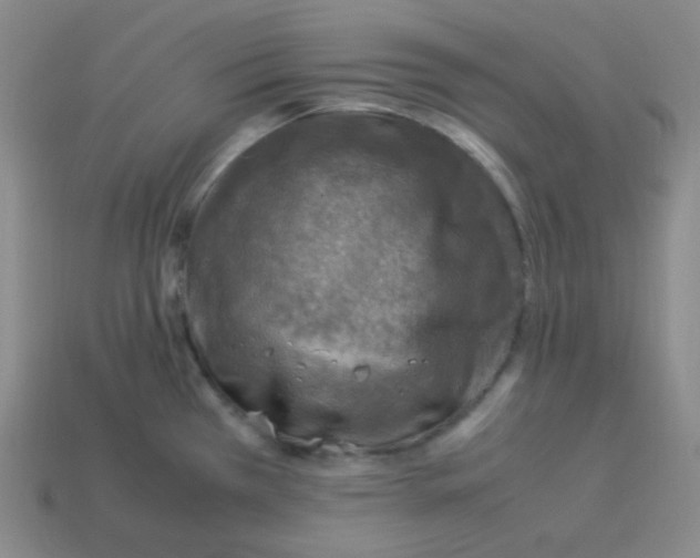 X0000113311385200910131059