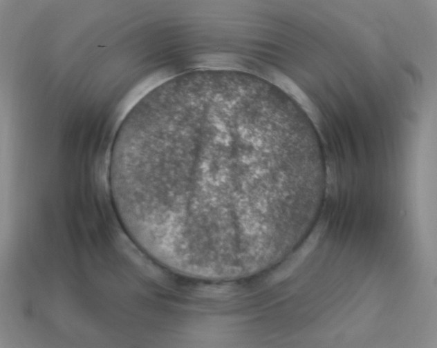 X0000113311386200910131059