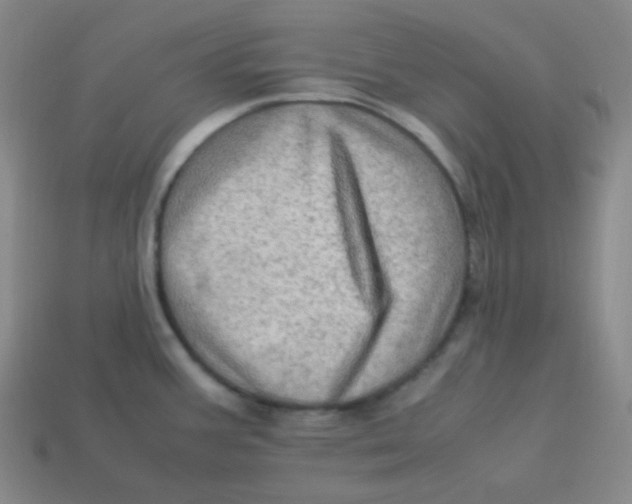 X0000113311387200910131059