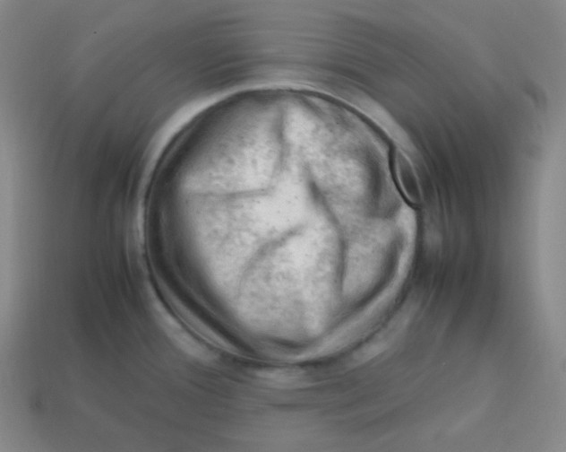 X0000113311388200910131059