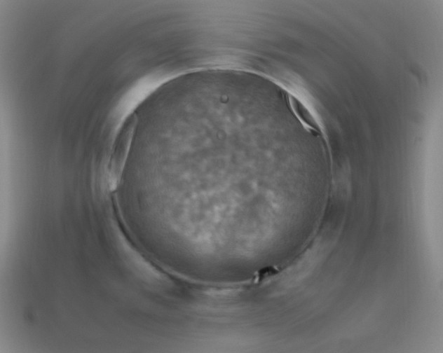 X0000113311389200910131059