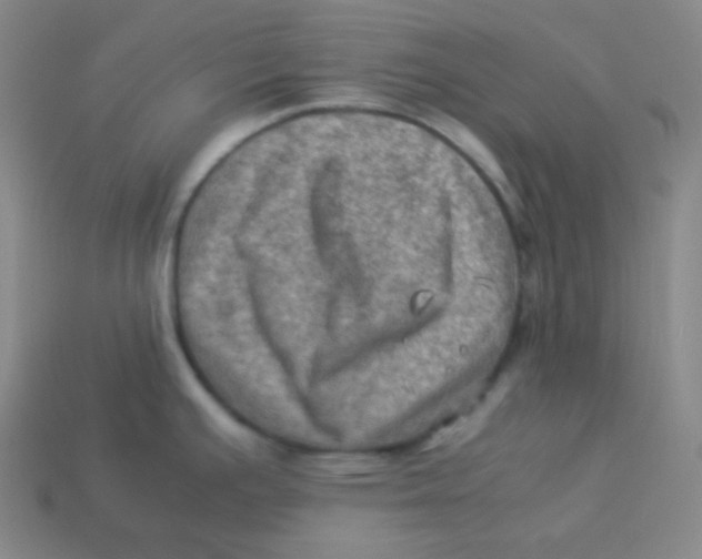 X0000113311391200910131058