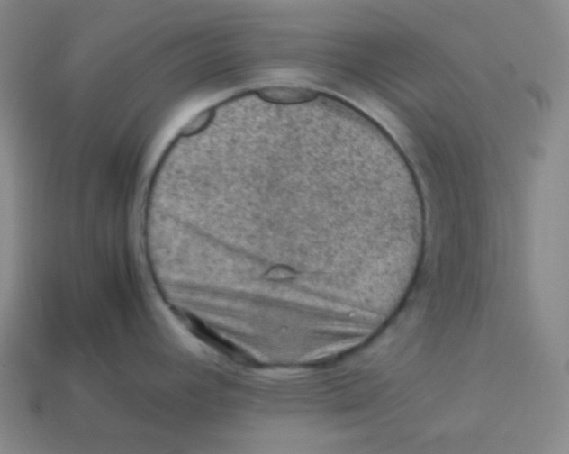 X0000113311392200910131058