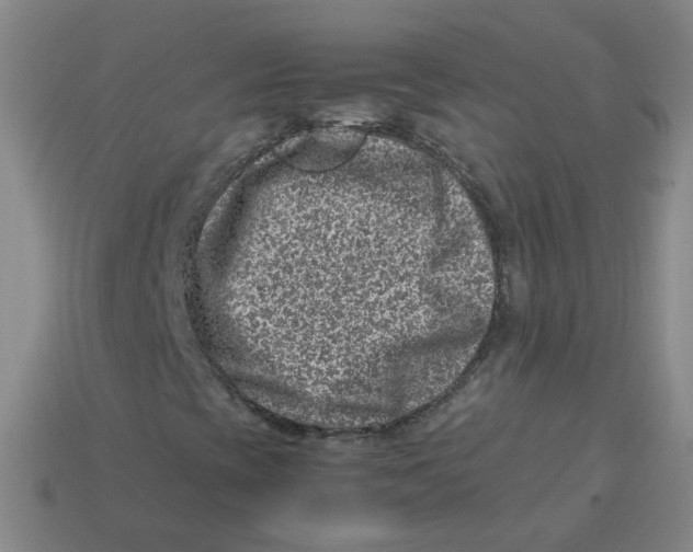 X0000113311393200910131058