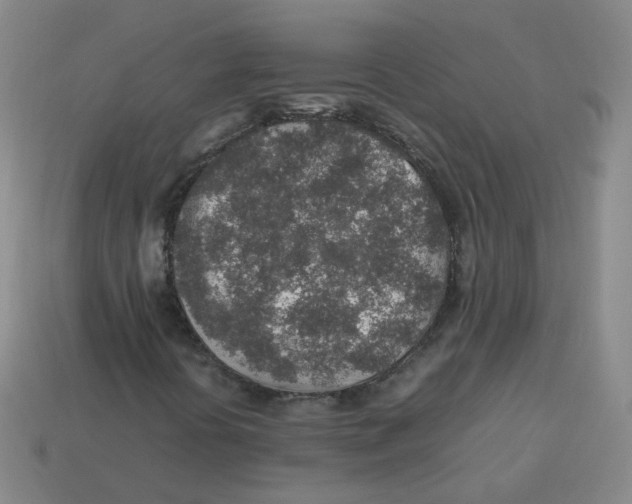 X0000113311394200910131058