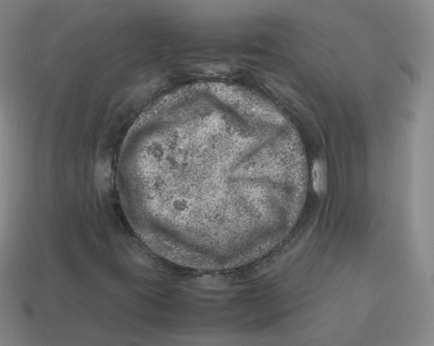 X0000113311395200910131058