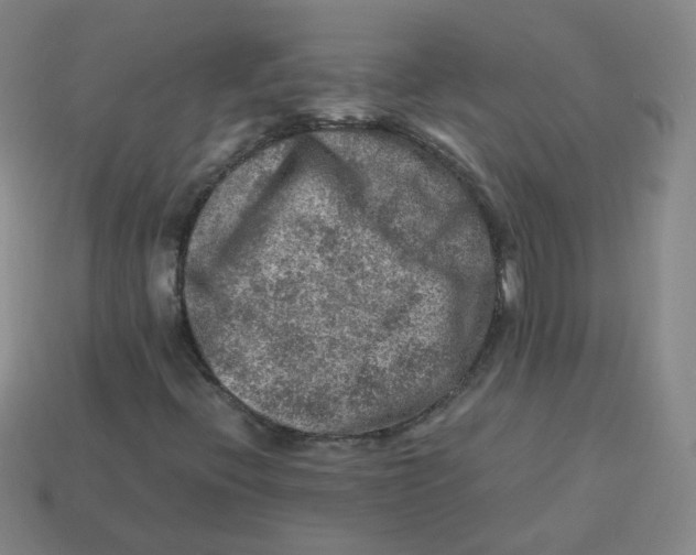 X0000113311396200910131058