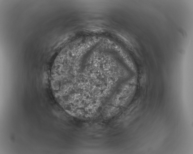 X0000113311397200910131058