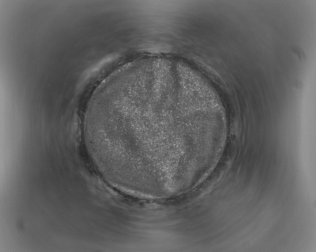 X0000113311398200910131058