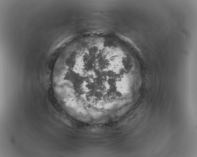 X0000113311399200910131058