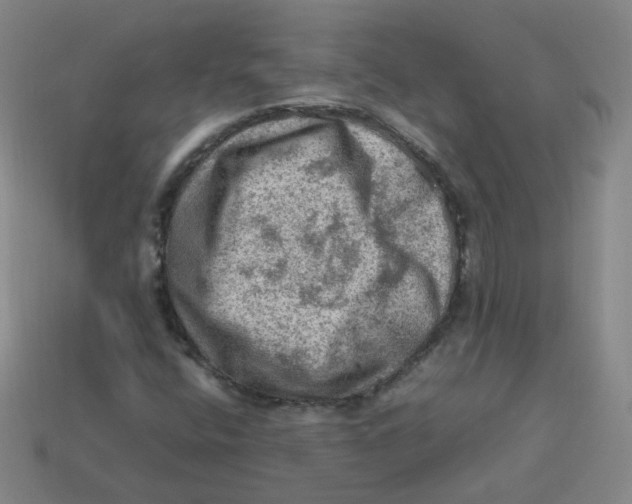 X0000113311400200910131058