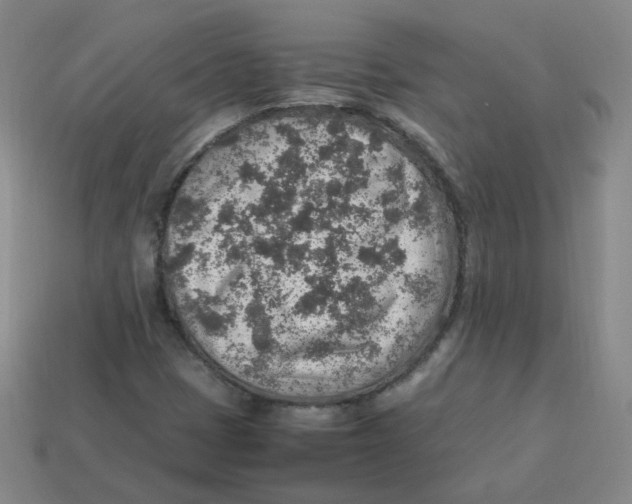 X0000113311401200910131058