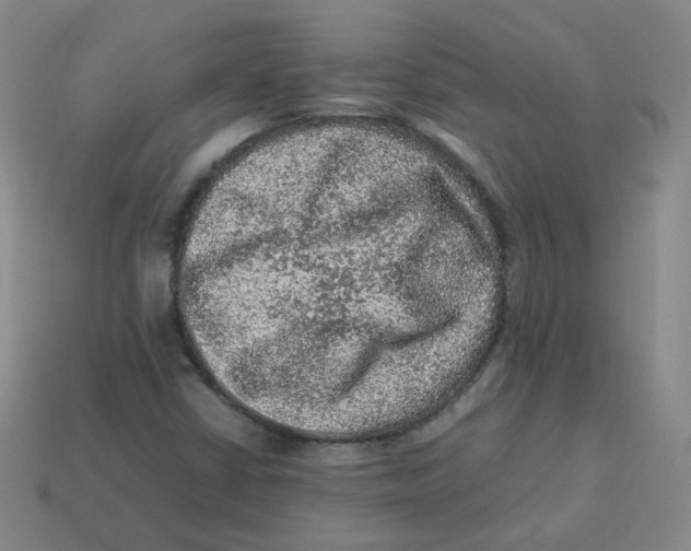 X0000113311402200910131058