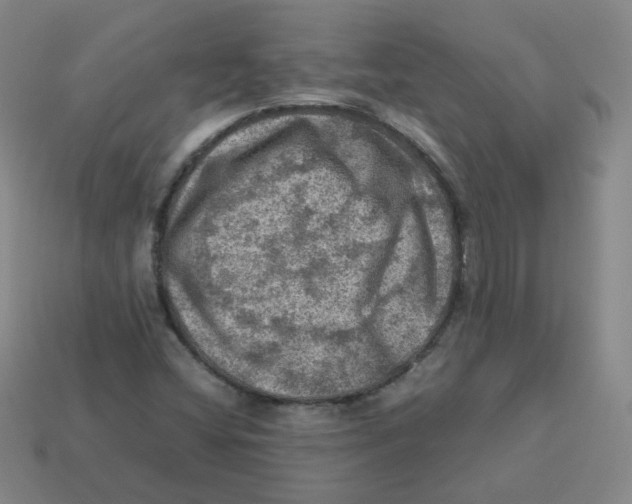 X0000113311404200910131058