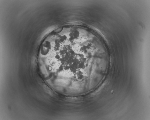 X0000113311405200910131058