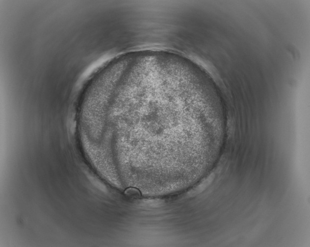 X0000113311406200910131058