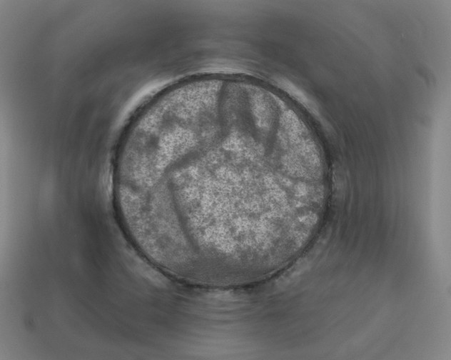 X0000113311408200910131058