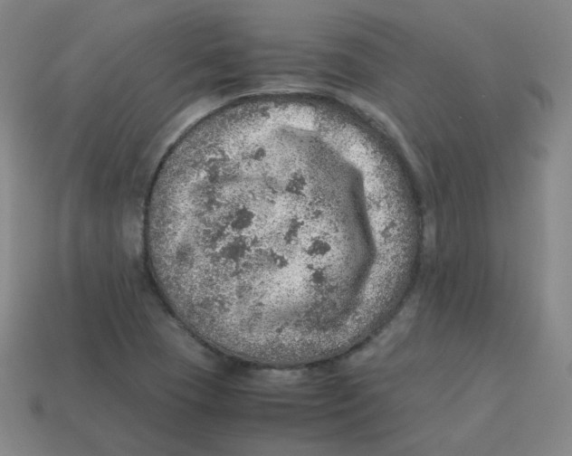 X0000113311409200910131058