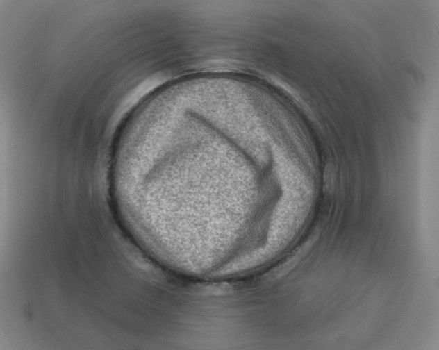 X0000113311410200910131058