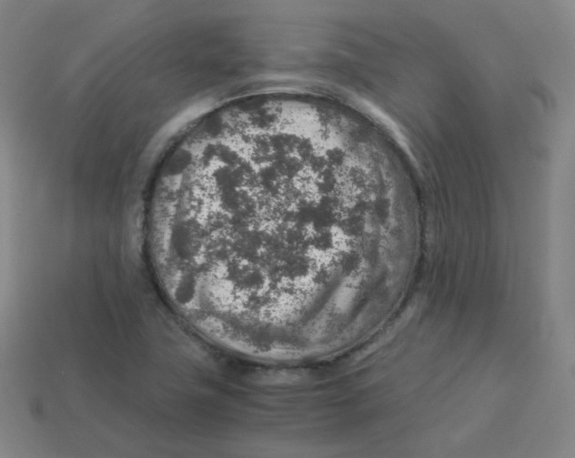 X0000113311411200910131058