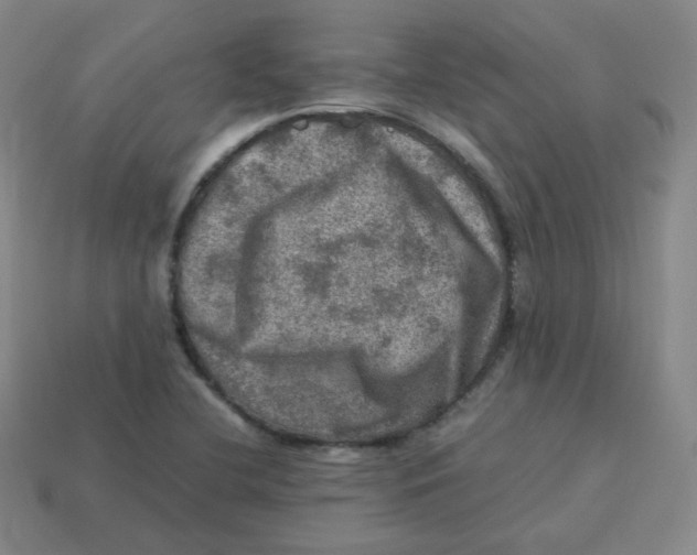 X0000113311412200910131058