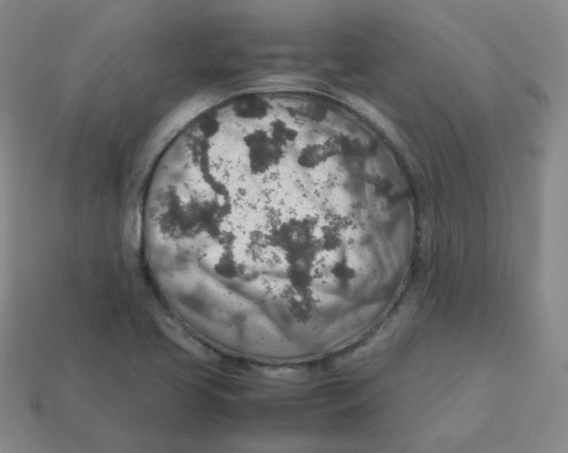 X0000113311413200910131058