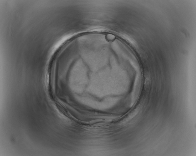 X0000113311414200910131058