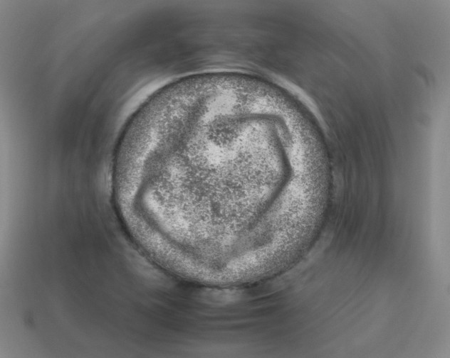 X0000113311415200910131058