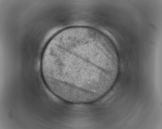 X0000113311416200910131058