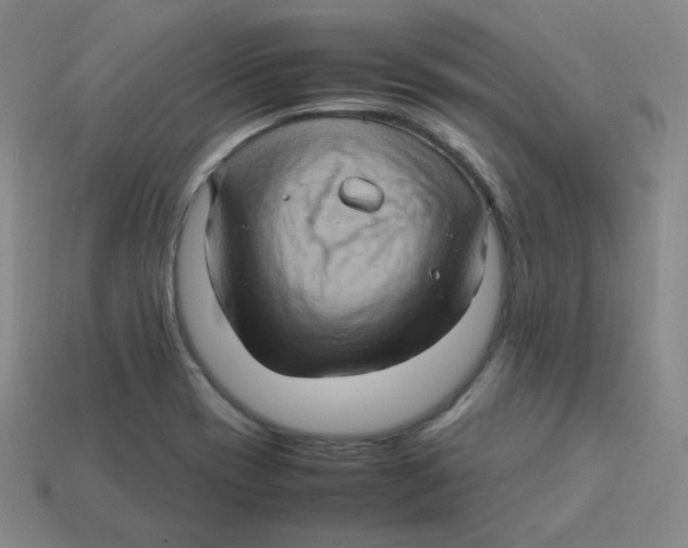 X0000113311417200910131058