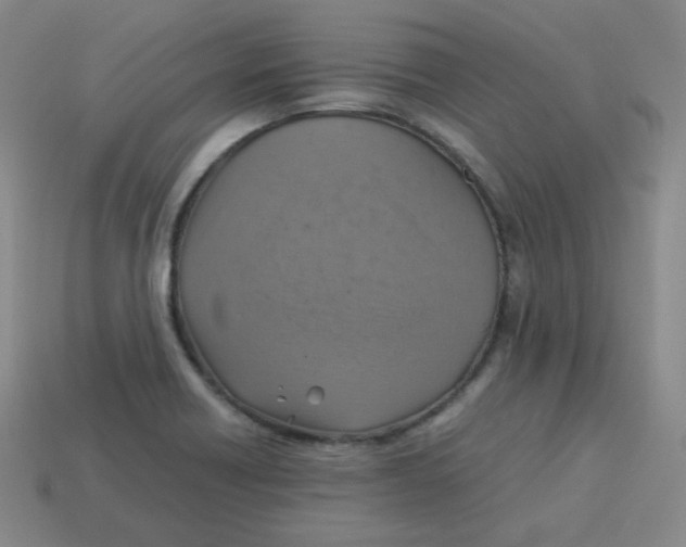 X0000113311418200910131058